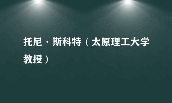 托尼·斯科特(太原理工大学教授)