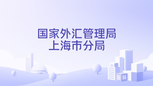 国家外汇管理局上海市分局