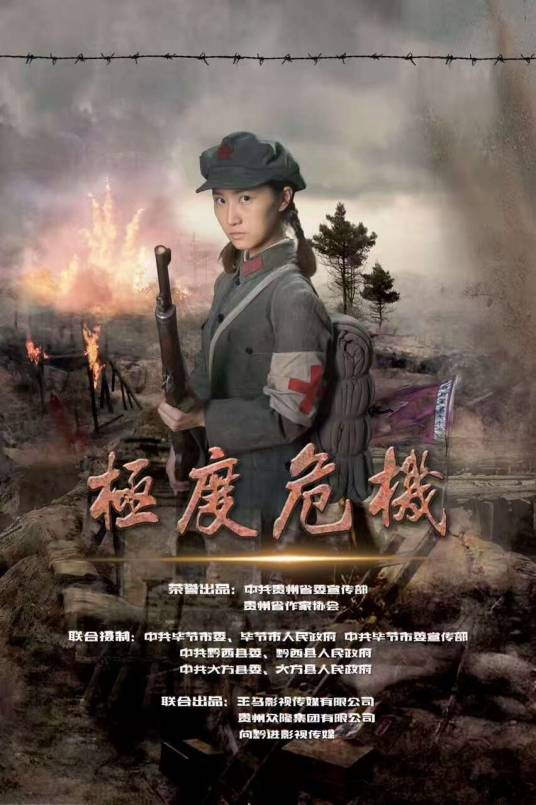 极度危机(2019年欧阳黔森、赵浚凯、盛树华联合执导的电影)