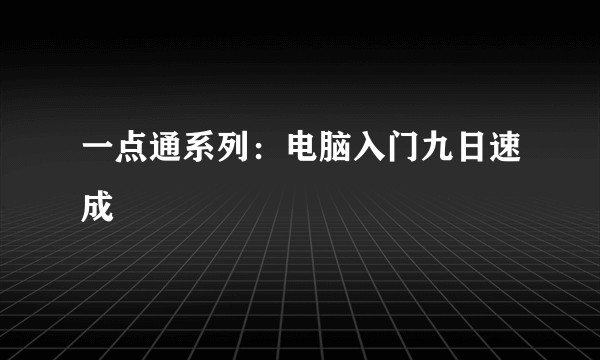 一点通系列：电脑入门九日速成