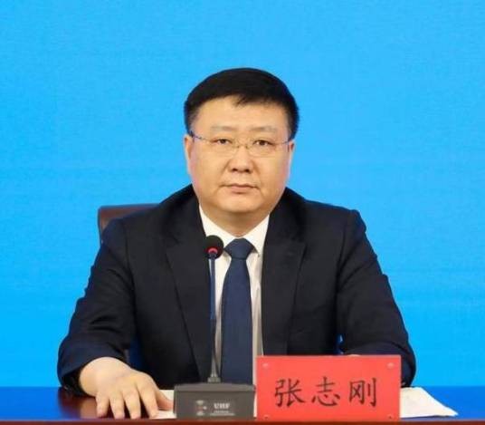 张志刚（山东省临清市委书记）