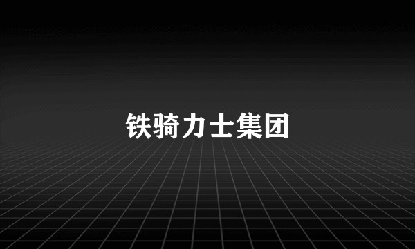 铁骑力士集团