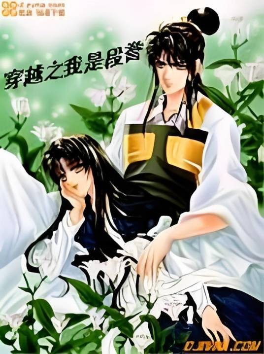 穿越之我是段誉