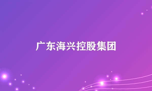 广东海兴控股集团