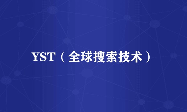 YST（全球搜索技术）