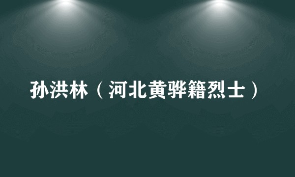 孙洪林（河北黄骅籍烈士）