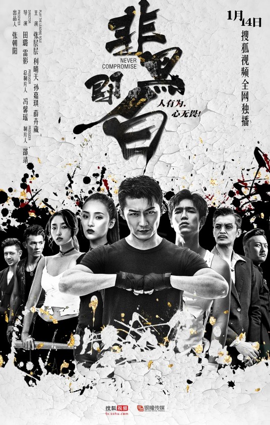 非黑即白(2020年田璐、雷影执导的热血动作剧)