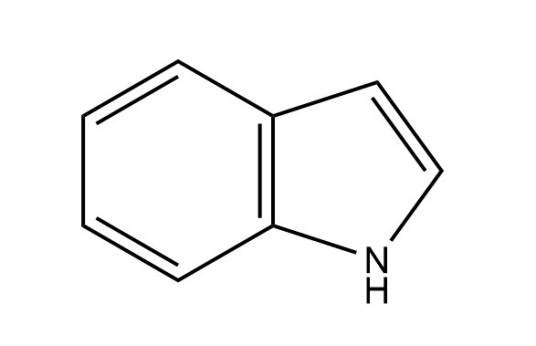 吲哚