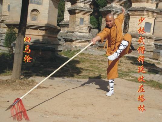 枪术（中国传统武术器械技法）