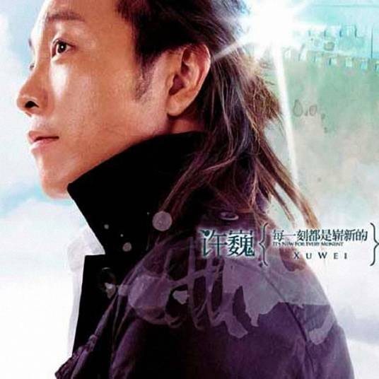 坐看云起（2004年许巍演唱的歌曲）