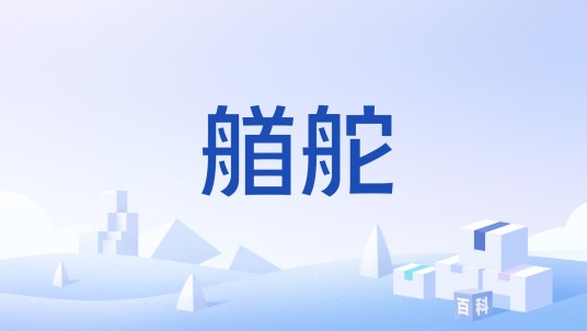 艏舵