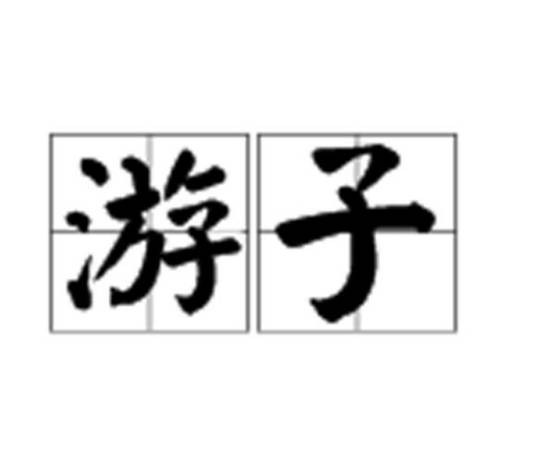 游子（汉语词语）