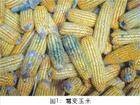 防潮