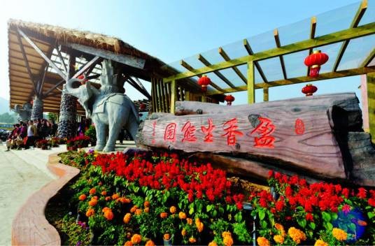 盈香心动乐园
