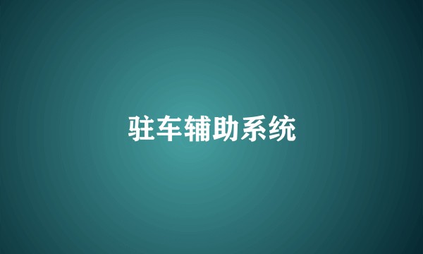 驻车辅助系统