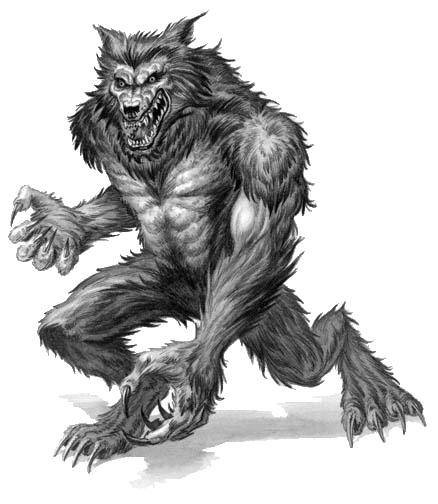 Werewolf(英语单词)