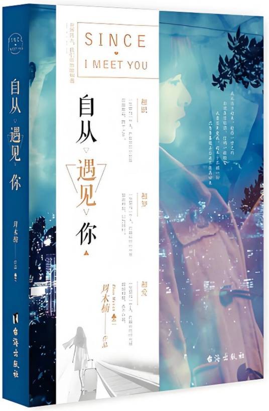 自从遇见你（2017年台海出版社出版的图书）