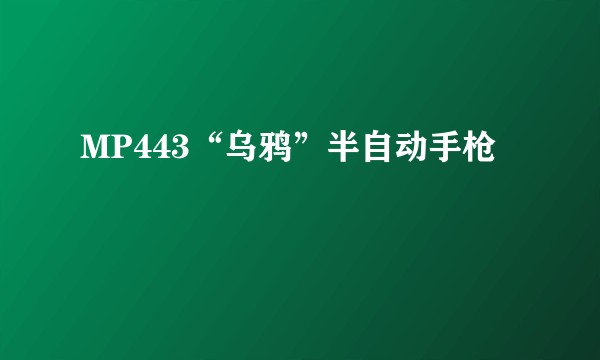 MP443“乌鸦”半自动手枪