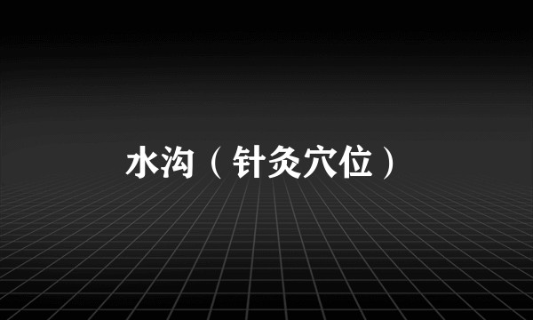 水沟（针灸穴位）