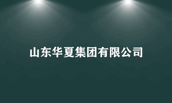 山东华夏集团有限公司