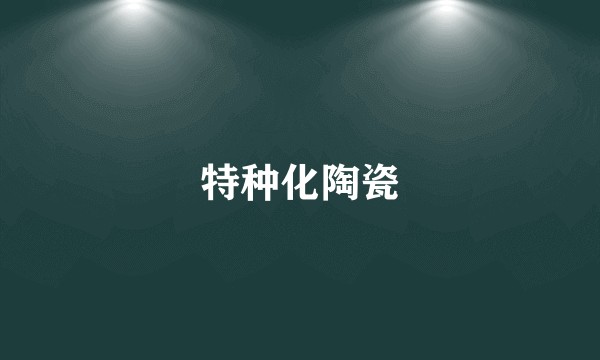 特种化陶瓷