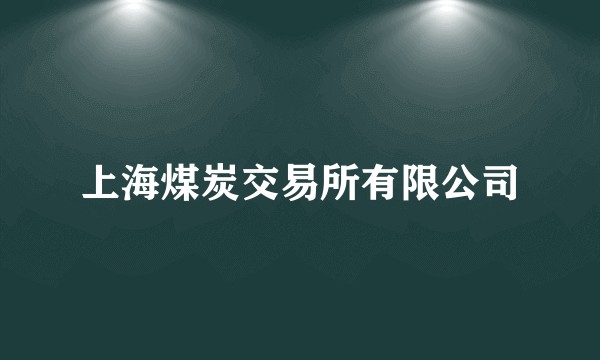 上海煤炭交易所有限公司