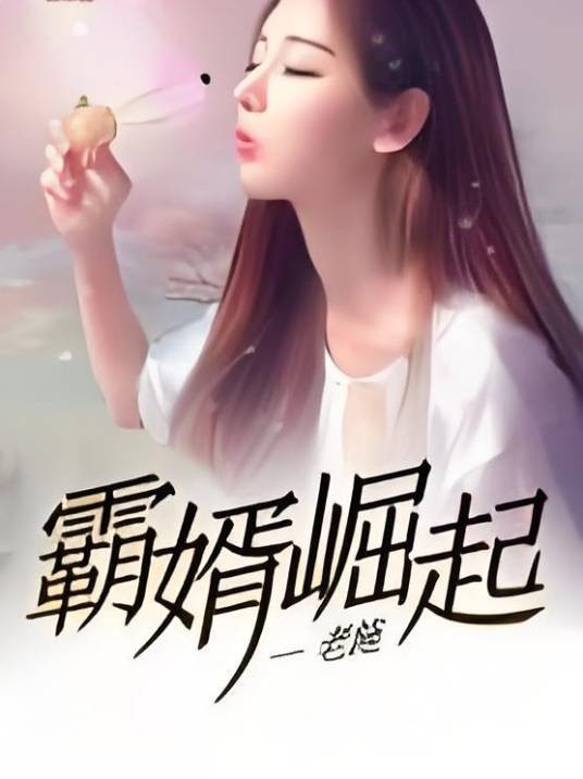 霸婿崛起(老施创作的都市类网络小说)
