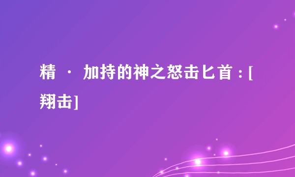 精 · 加持的神之怒击匕首 : [翔击]
