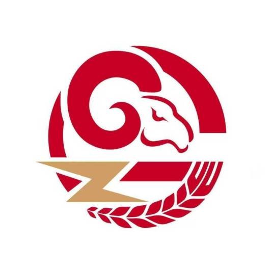 GZG广州电竞队