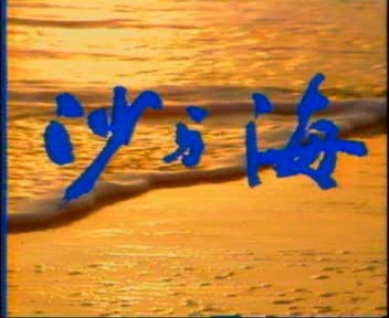 沙与海（1990年康健宁、高国栋执导纪录片）