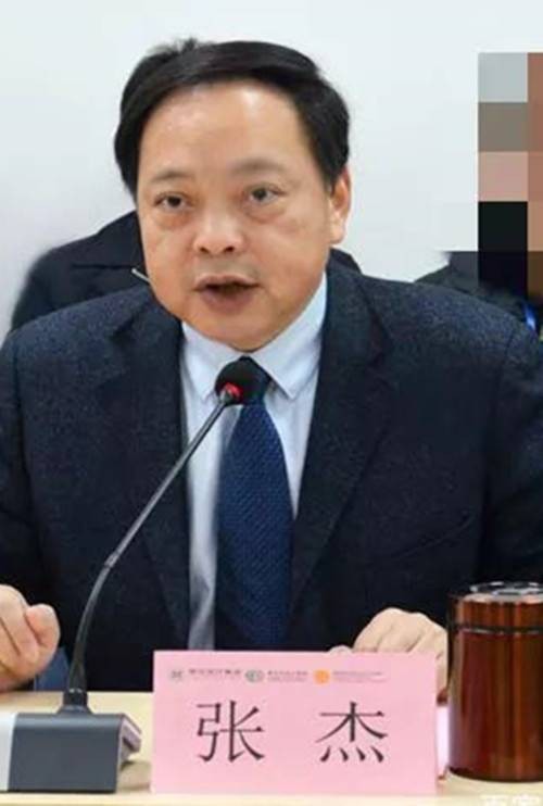 张杰（鄂东医疗集团原党委书记、总院长）