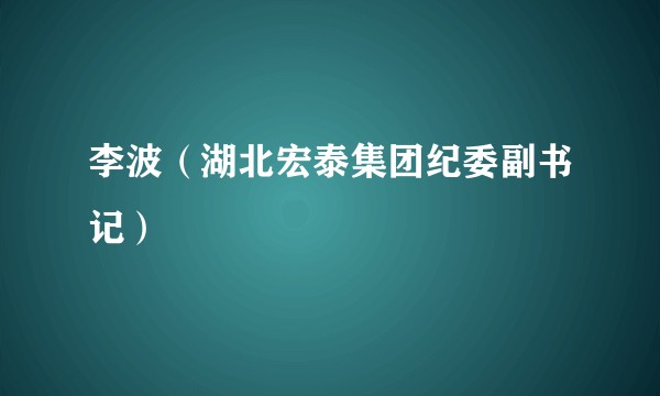 李波（湖北宏泰集团纪委副书记）