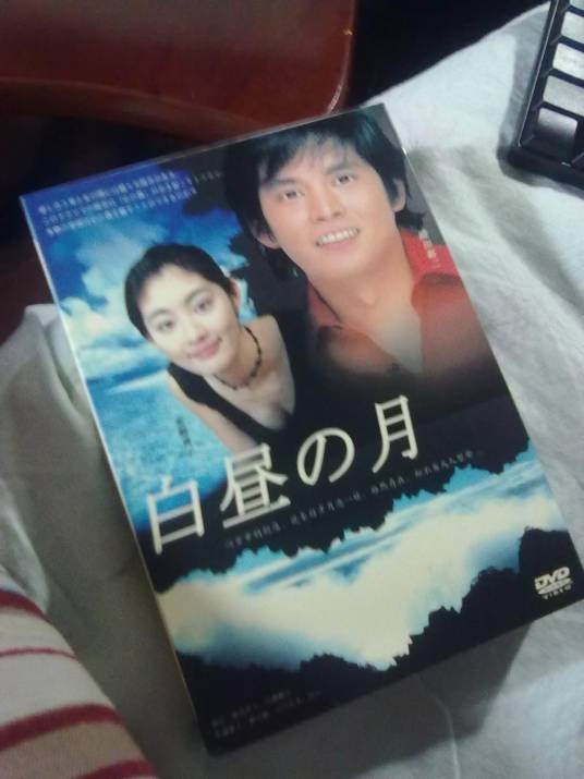 白昼之月(日本1996年土井裕泰执导的爱情剧)