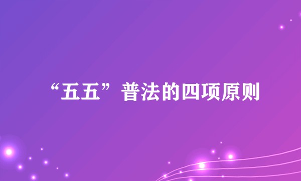 “五五”普法的四项原则