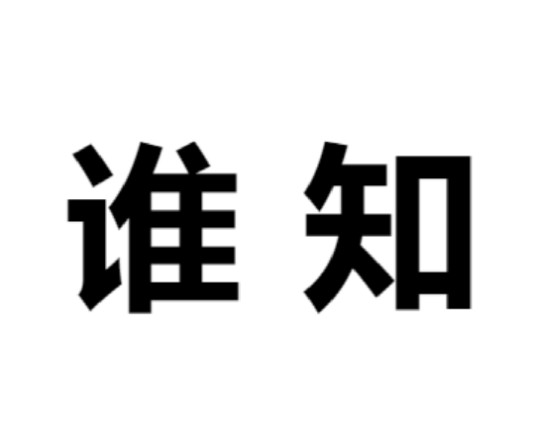 谁知