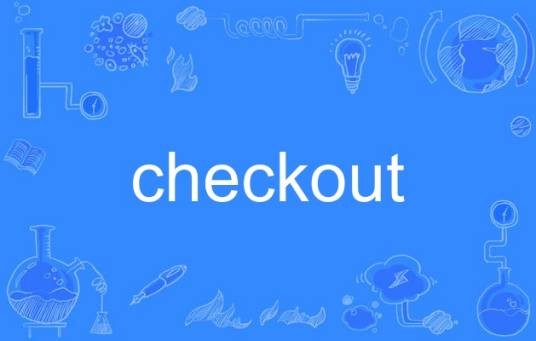 checkout（英语名词，指检验、结账台等相关含义）