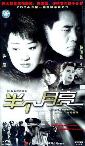 半个月亮（2004年毛卫宁执导的电视剧）