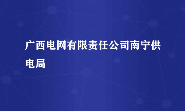 广西电网有限责任公司南宁供电局