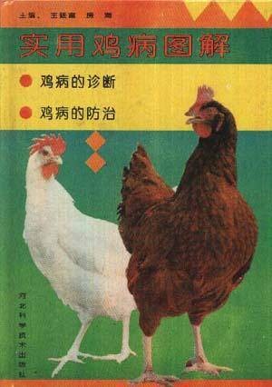 实用鸡病图解