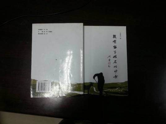 刘春美(石家庄铁道大学图书馆员工)