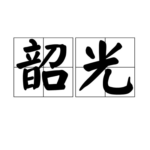 韶光(汉语词语)