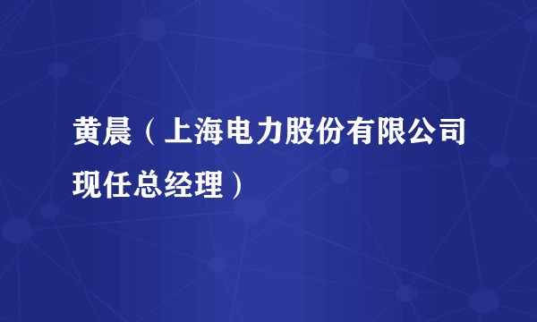黄晨(上海电力股份有限公司现任总经理)