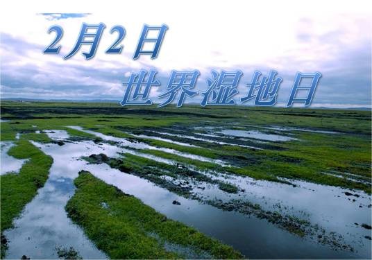 世界湿地日