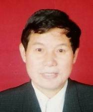 夏瑾（党史党建专家）