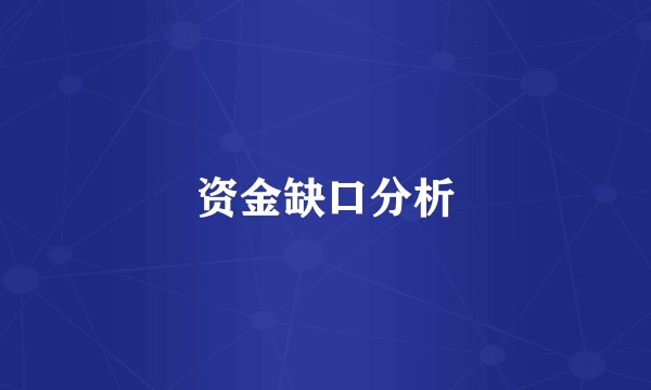 资金缺口分析