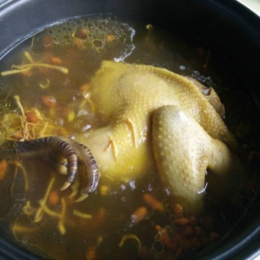 老母鸡汤