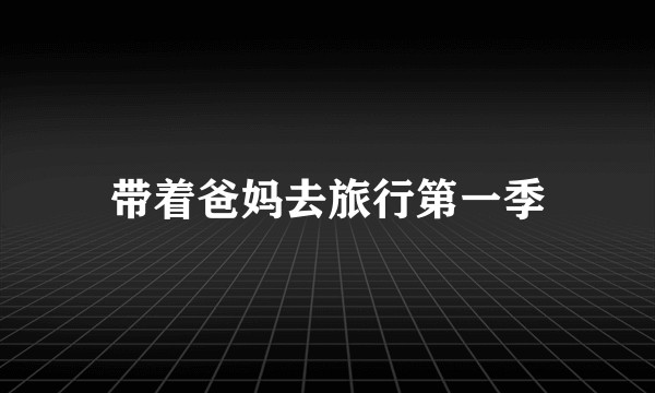 带着爸妈去旅行第一季