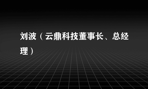 刘波（云鼎科技董事长、总经理）
