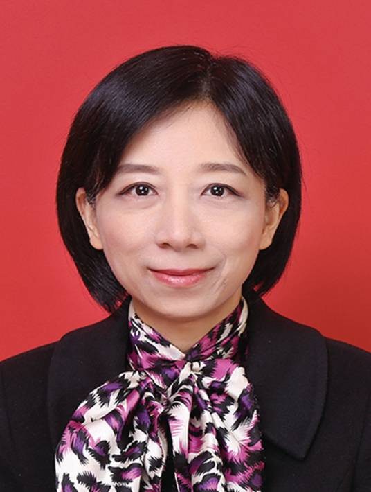 徐枫（上海市第十六届人民代表大会教育科学文化卫生委员会委员）
