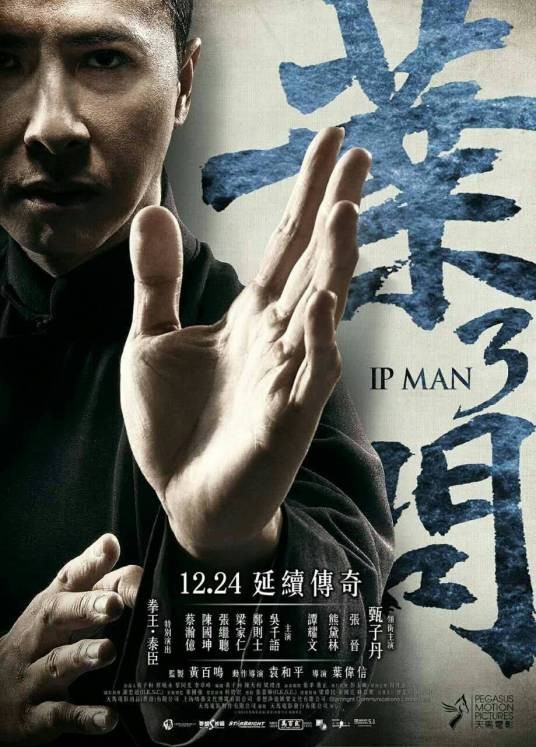 叶问3（中国香港2016年叶伟信执导的动作传记电影）